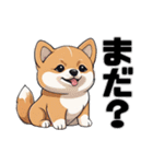柴犬の日常挨拶スタンプ（個別スタンプ：31）