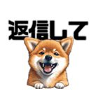 柴犬の日常挨拶スタンプ（個別スタンプ：36）