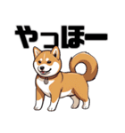 柴犬の日常挨拶スタンプ（個別スタンプ：37）