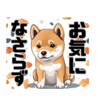 柴犬の日常挨拶スタンプ（個別スタンプ：39）