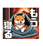 柴犬の日常挨拶スタンプ（個別スタンプ：40）