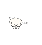 省スペース＊犬のもこまるの吹き出し挨拶（個別スタンプ：33）
