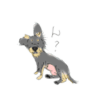 チワックス好きのためのスタンプ（個別スタンプ：1）