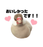 文鳥のふくむぎ3（個別スタンプ：2）