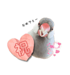 文鳥のふくむぎ3（個別スタンプ：21）