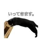 くーやんと。（個別スタンプ：3）