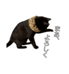 くーやんと。（個別スタンプ：4）