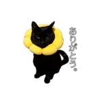 くーやんと。（個別スタンプ：7）
