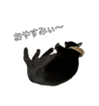 くーやんと。（個別スタンプ：8）