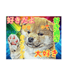 言いまくる犬✌️（個別スタンプ：6）