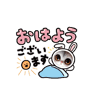 可愛い子猫シリーズ！ 癒されます（個別スタンプ：8）