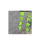石垣スタンプ（あいさつ）（個別スタンプ：11）