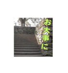 石垣スタンプ（あいさつ）（個別スタンプ：17）