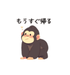 かわいいゴリラの日常会話（個別スタンプ：8）
