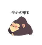 かわいいゴリラの日常会話（個別スタンプ：14）