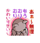 猫おじさんスタンプ（個別スタンプ：2）