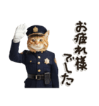 警察現場ねこ（個別スタンプ：12）