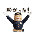 警察現場ねこ（個別スタンプ：16）