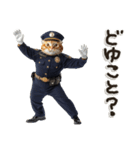 警察現場ねこ（個別スタンプ：19）