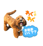 MUGIRAMUスタンプ（個別スタンプ：7）