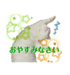 MUGIRAMUスタンプ（個別スタンプ：8）