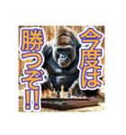チェスが大好きな、ゴリラさん（個別スタンプ：24）