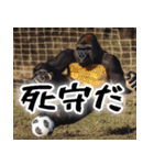 全力サッカーゴリラ！(すんごく使えて便利)（個別スタンプ：39）