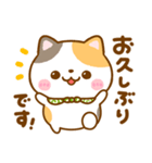 会話に使える♡ねこねこにゃんこ（個別スタンプ：6）