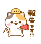 会話に使える♡ねこねこにゃんこ（個別スタンプ：9）