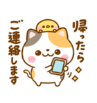 会話に使える♡ねこねこにゃんこ（個別スタンプ：18）