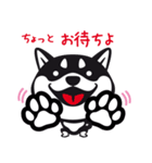 クロシバマニア（個別スタンプ：3）