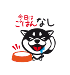 クロシバマニア（個別スタンプ：8）