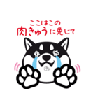 クロシバマニア（個別スタンプ：9）