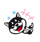 クロシバマニア（個別スタンプ：11）