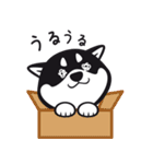 クロシバマニア（個別スタンプ：14）