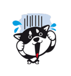 クロシバマニア（個別スタンプ：17）