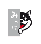 クロシバマニア（個別スタンプ：20）