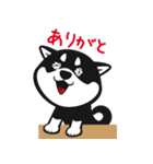 クロシバマニア（個別スタンプ：25）