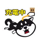 クロシバマニア（個別スタンプ：26）