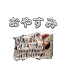 ほんわか 日常のひと言（個別スタンプ：23）