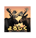 ヘラジカ_日本語（個別スタンプ：35）