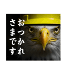 鷲たち現場の声（個別スタンプ：10）