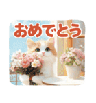 街角のねこさんスタンプ（個別スタンプ：27）