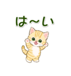 にゃんにゃんズ 見やすい一言（個別スタンプ：5）