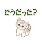 にゃんにゃんズ 見やすい一言（個別スタンプ：12）