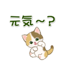 にゃんにゃんズ 見やすい一言（個別スタンプ：34）