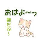 にゃんにゃんズ 見やすい一言（個別スタンプ：37）