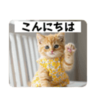 猫ねこネコ！（個別スタンプ：1）