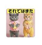 猫ねこネコ！（個別スタンプ：11）