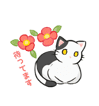 はなとねこ（個別スタンプ：1）